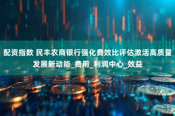 配资指数 民丰农商银行强化费效比评估激活高质量发展新动能_费用_利润中心_效益