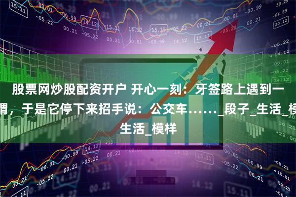 股票网炒股配资开户 开心一刻：牙签路上遇到一刺猬，于是它停下来招手说：公交车……_段子_生活_模样