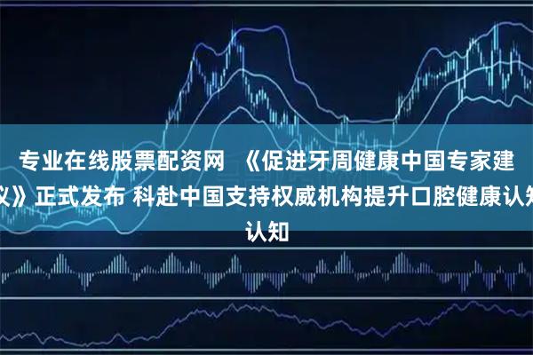 专业在线股票配资网  《促进牙周健康中国专家建议》正式发布 科赴中国支持权威机构提升口腔健康认知