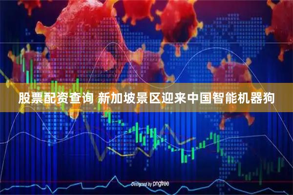 股票配资查询 新加坡景区迎来中国智能机器狗